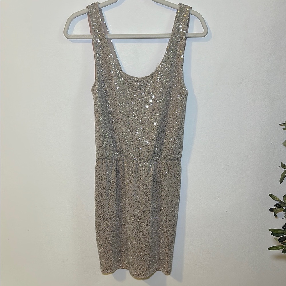 Express Silver Sequin Sheath Mini Dress